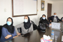 کمیته مشورتی تاثیر بیماری های زمینه ای بر پری ناتال مورتالیتی، سالن جلسات مرکز بهداشت استان مرکزی ، ۸ دی ماه