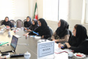 کارگاه تدوین برنامه عملیاتی بلایا با محوریت کارکرد تخصصی سلامت دهان و دندان