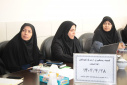 برگزاری کمیته استانی بررسی مرگ کودکان ۱ تا ۵۹ ماهه با تأکید بر نقش ماماها در مراقبت‌های دوران بارداری