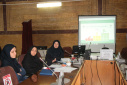 برگزاری کارگاه «چالش‌های مراقبت نوزادی» با محوریت ارتقای مهارت پزشکان مراکز جامع سلامت