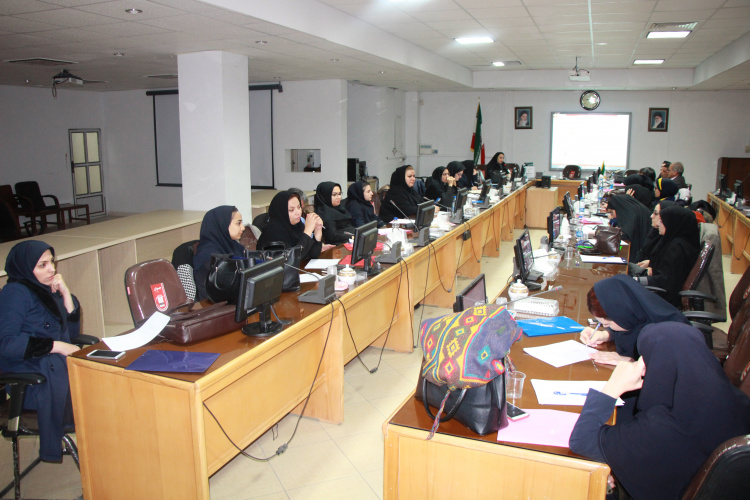 برگزاری اولین جلسه کارگاه ۲ روزه پیشگیری از خشونت خانگی ، سالن جلسات مرکز بهداشت استان مرکزی، ۱۴ بهمن ماه