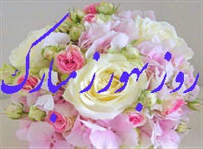 پیام تبریک دکتر جواد نظری بمناسبت روز بهورز