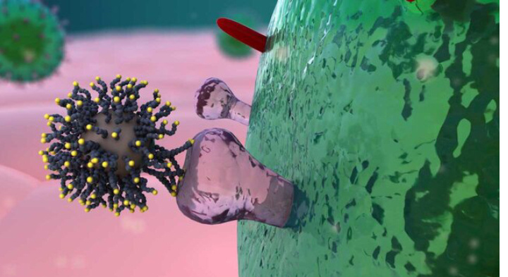 بهترین اقدام برای در امان ماندن از کرونا چیست؟