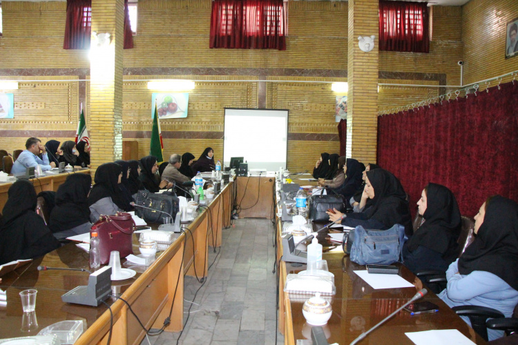 کارگاه بهداشت باروری در بحران