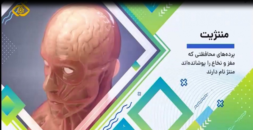 عوامل ایجاد کننده بیماری مننژیت+  فیلم