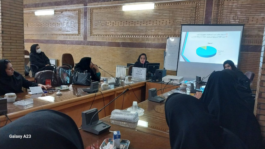 سمینار یکروزه ایراپن و خطر سنجی  پیشگیری از سکته های قلبی و مغزی برگزار شد.