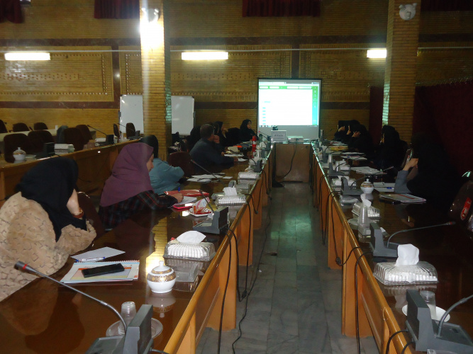 کارگاه مراقبت از نوزاد پرخطر برگزار شد