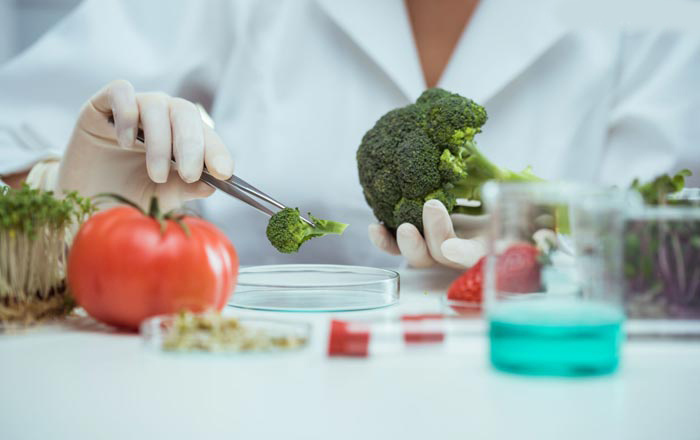 تأکید بر نقش کلیدی تخصص و تعهد؛ گرامیداشت روز ملی کارشناس و متخصص تغذیه در دانشگاه علوم پزشکی اراک